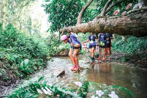 BIB: 
                            <button type="button" onclick="openModal(25515906)" class="btn btn-primary btn-sm float-right btn-popup" data-toggle="modal" data-target=".modal-high-quality">
                        <i class="fas fa-shopping-cart"></i> Add to Cart
                    </button>
                                            <button type="button" onclick="isThisMe(25515906, true)" class="btn btn-success btn-sm float-right btn-popup btn-isme hidden" data-toggle="tooltip" data-placement="bottom" title="นี่คือรูปของคุณใช่ไหม คลิกที่นี่เพื่อเอาเข้าอัลบั้ม">
                        <i class="fas fa-plus"></i> Add to album
                    </button>
                    <button type="button" onclick="isThisMe(25515906, false)" class="btn btn-warning btn-sm float-right btn-popup btn-isnotme hidden">
                        <i class="fas fa-ban"></i> Remove from album
                    </button>